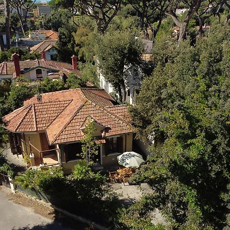 Exclusive Charming Villa - Free Parking 400 Mq Garden - Rome Airport - Roseto Villa Dream Fregenae Eksteriør billede